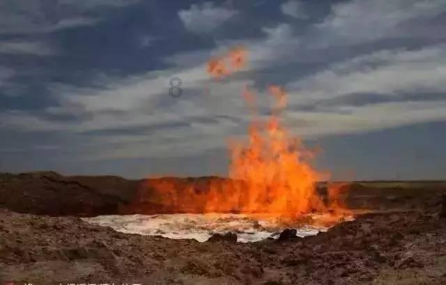 发现来自世界各地的奇闻趣事——乌撒灭亡于哪年?红迪网