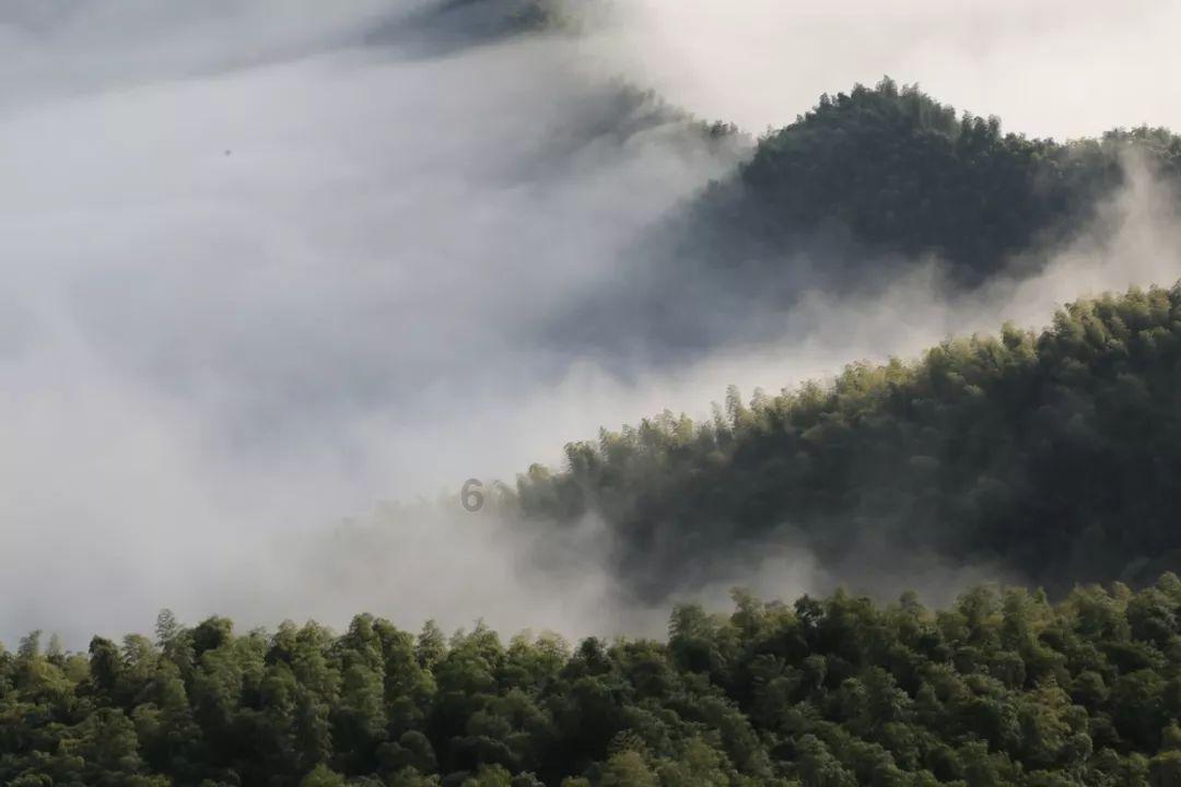 燃烧吧大脑免广告最新版